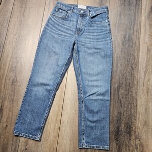 Everlane Blue Straight Jeans Classic Fit
